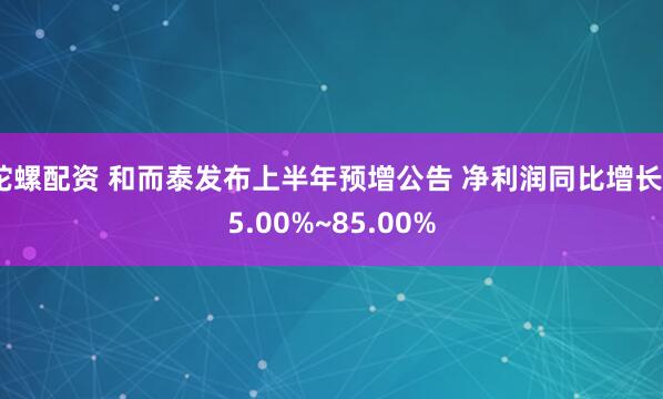 陀螺配资 和而泰发布上半年预增公告 净利润同比增长65.00%~85.00%