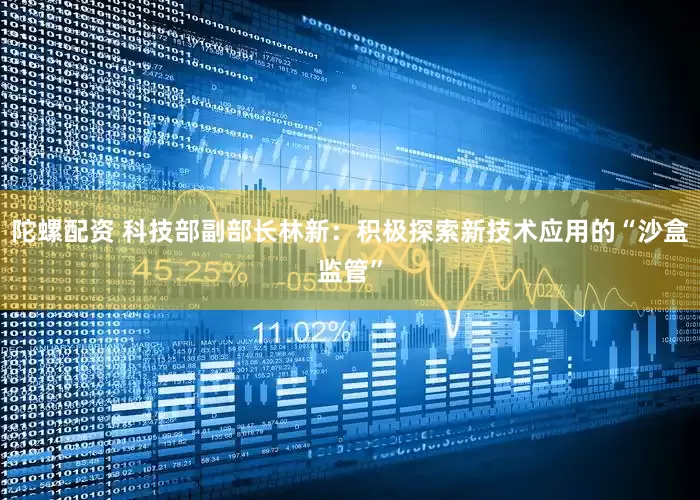 陀螺配资 科技部副部长林新：积极探索新技术应用的“沙盒监管”